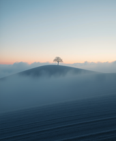 Minimalist Moody landscape on Solitude