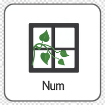 Num