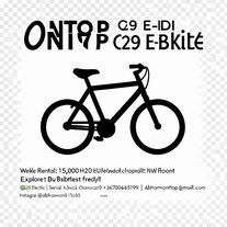 ONTOP C29 E-Bike