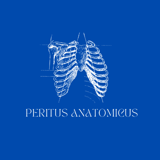 Peritus Anatomicus icon