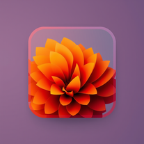 Phone Wallpaper Generator