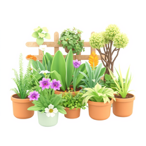 Planning Gardens and Green Spaces