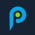 PlaySight Icon
