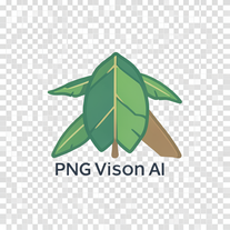 PNG Vision AI