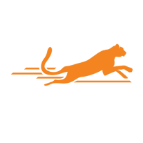 Post Cheetah SEO