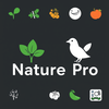 Produtor Nature Pro icon