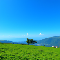 Realistic image generation