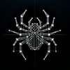 Repo Spider icon