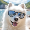 SamoyedGPT icon