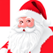 Santas Helper icon