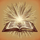 Scripture Scholar icon