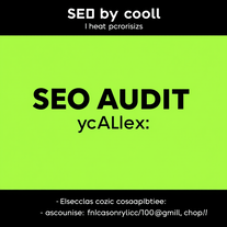 SEO Audit By Alexis