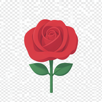 She loves me she loves me not