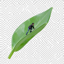 Shepherd of the Emerald Edge