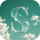 Shipper.now icon
