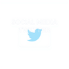 TWITTER POST icon