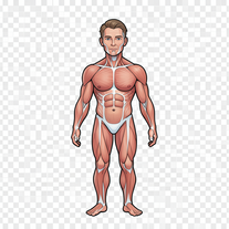 Sophi AI Image