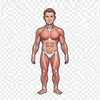 Sophi AI Image icon