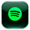 Spotify gold+premium icon