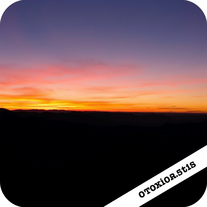 Sunset Silhouettes in Nature