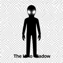 The Holo Shadow