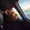 Thoughtful Reflection – Cinematic Airplane Portrait icon