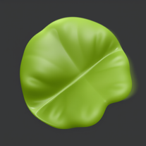 Tool for Removing Skin Imperfections