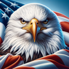 United States Facts icon