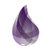 Unofficial Elixir Bot icon