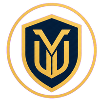 Vault Executive
