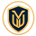 Vault Executive icon