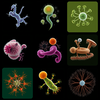 What is microorganisms icon