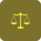 Witness Examination and Cross- Examination Questions icon
