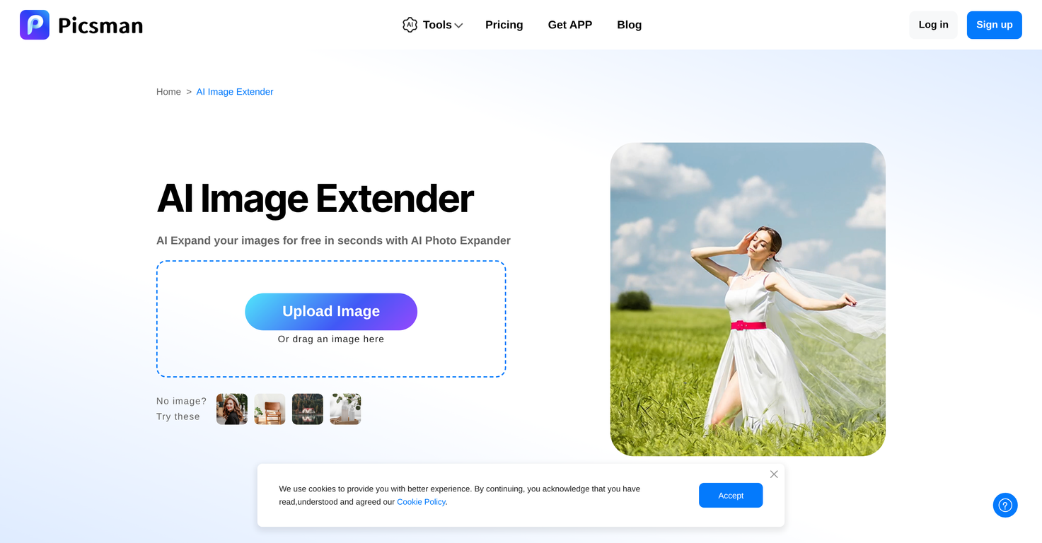 Image Extender by Picsman website