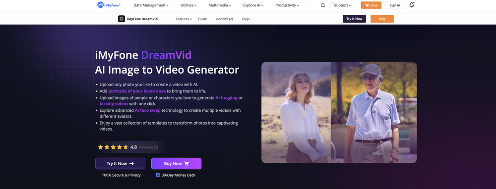 iMyFone DreamVid website