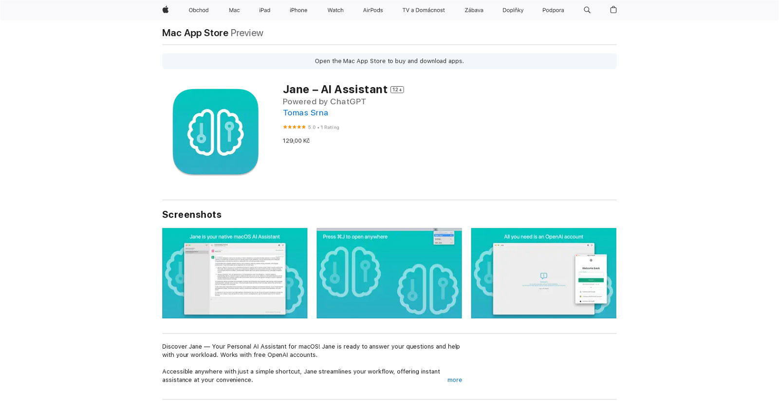 Jane – AI Assistant website