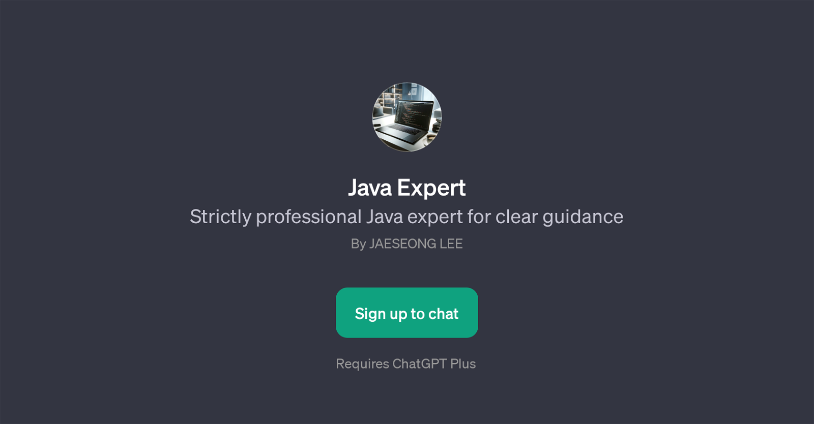 Java Expert website