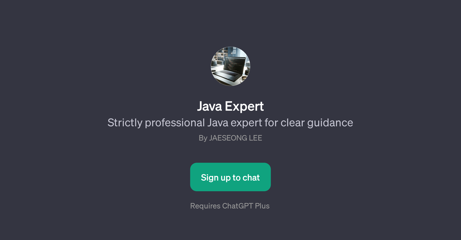 Java Expert website