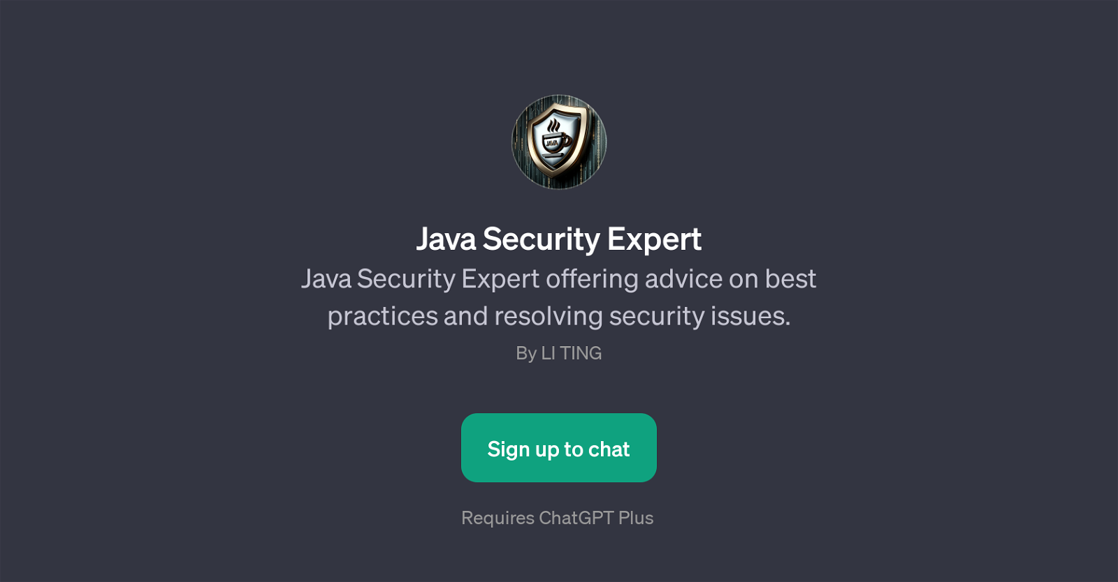 Java Security Expert website