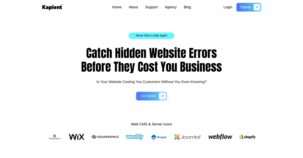 Kapient website