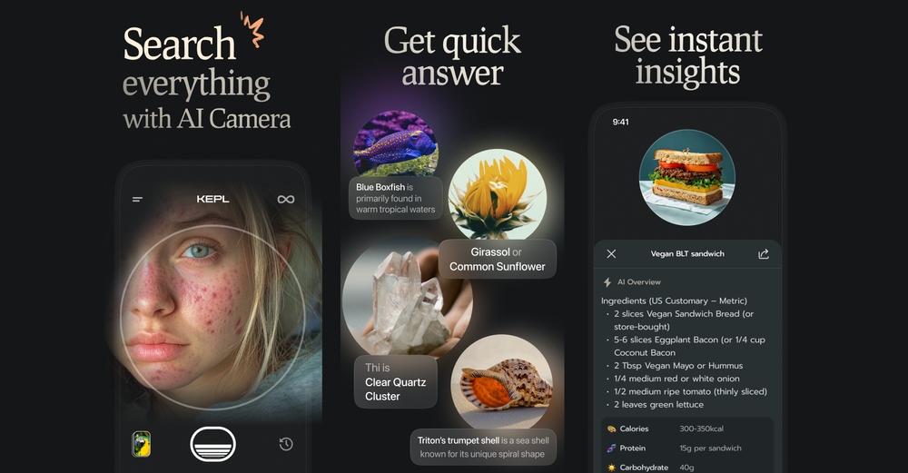 Google learn about and 101 other ai alternatives for learning