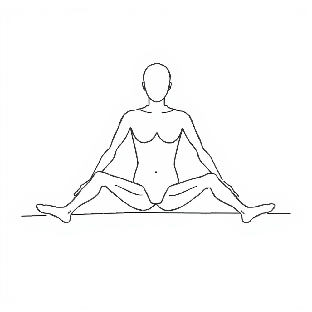 line drawing website