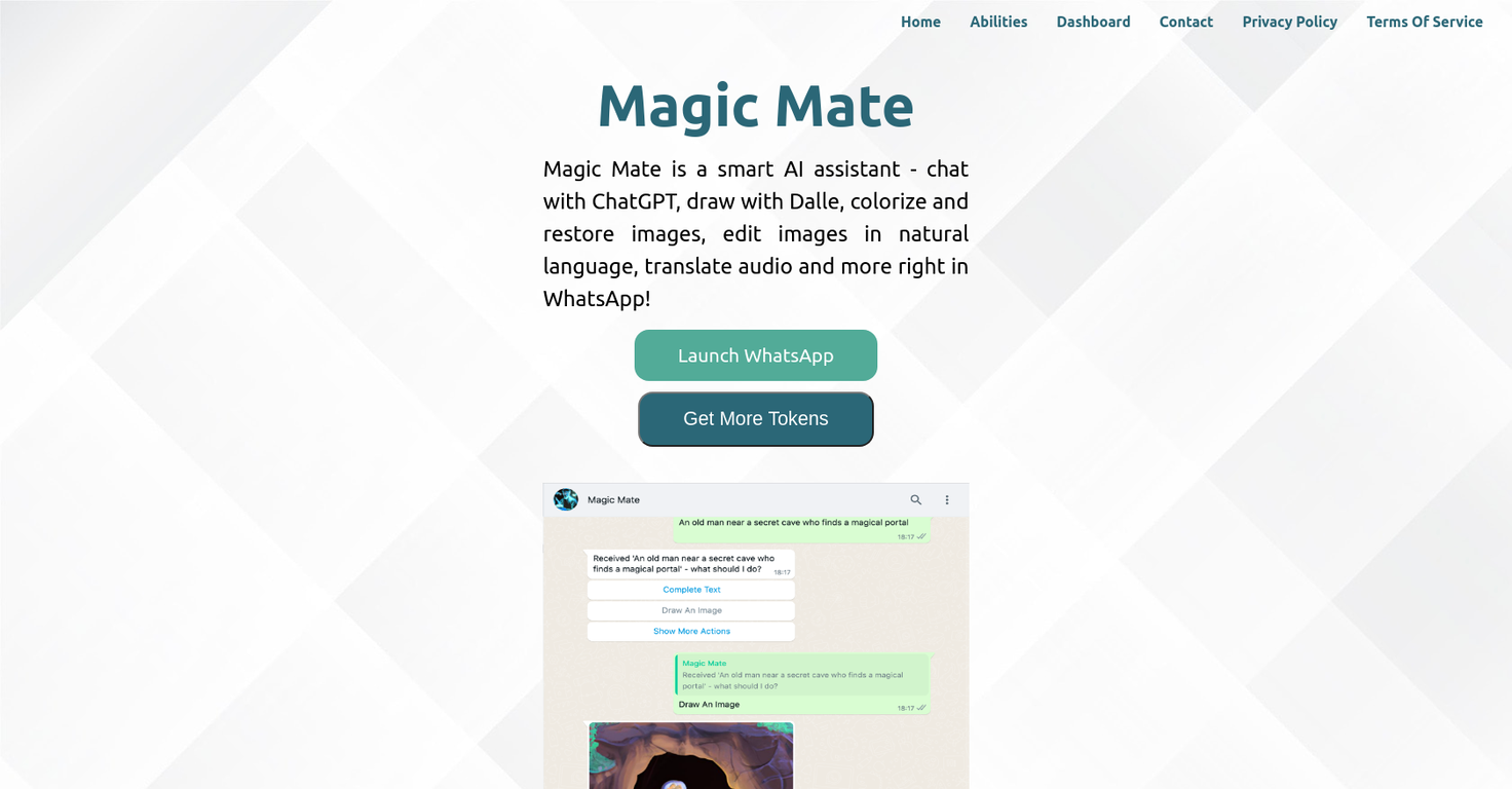 Magic Mate website