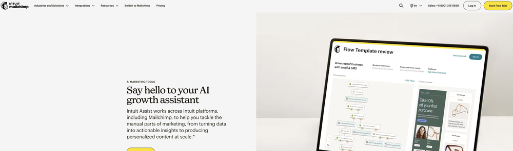Mailchimp Intuit Assist website