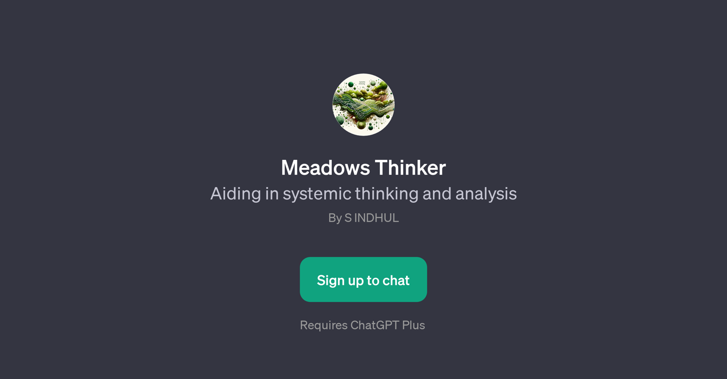 Meadows Thinker website