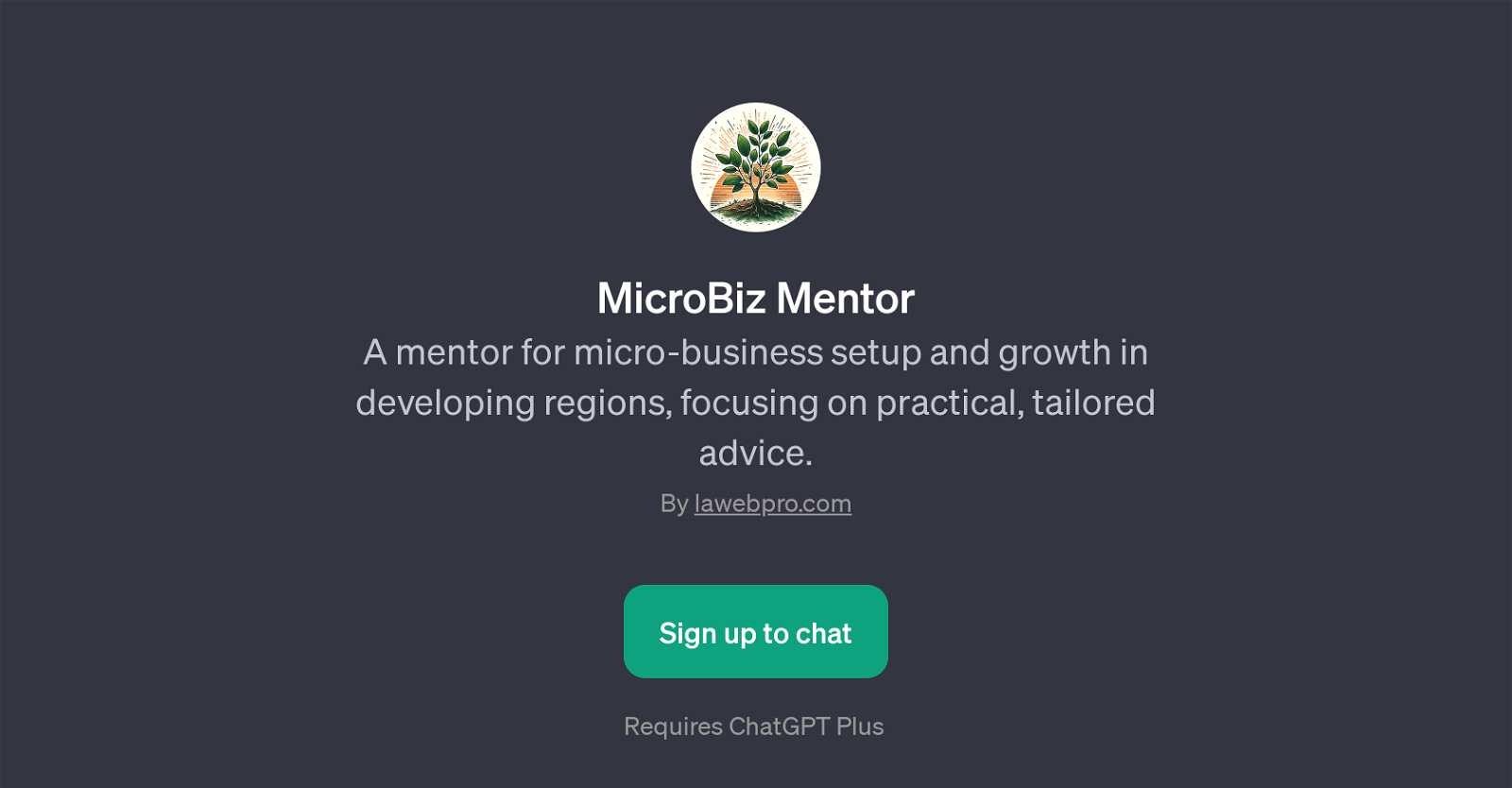 MicroBiz Mentor website