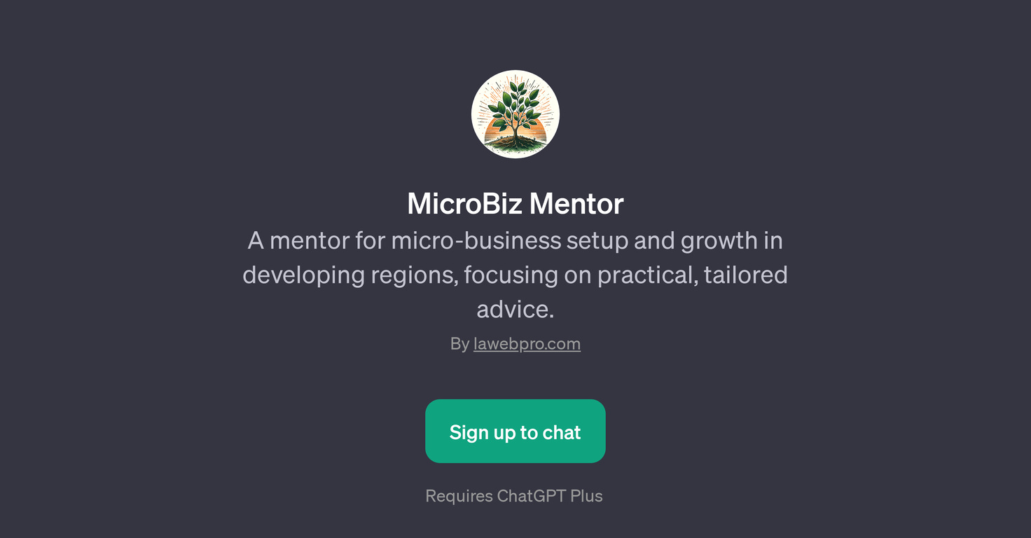 MicroBiz Mentor website