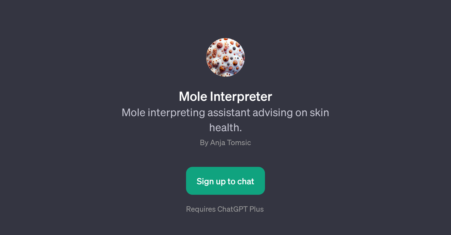 Mole Interpreter website