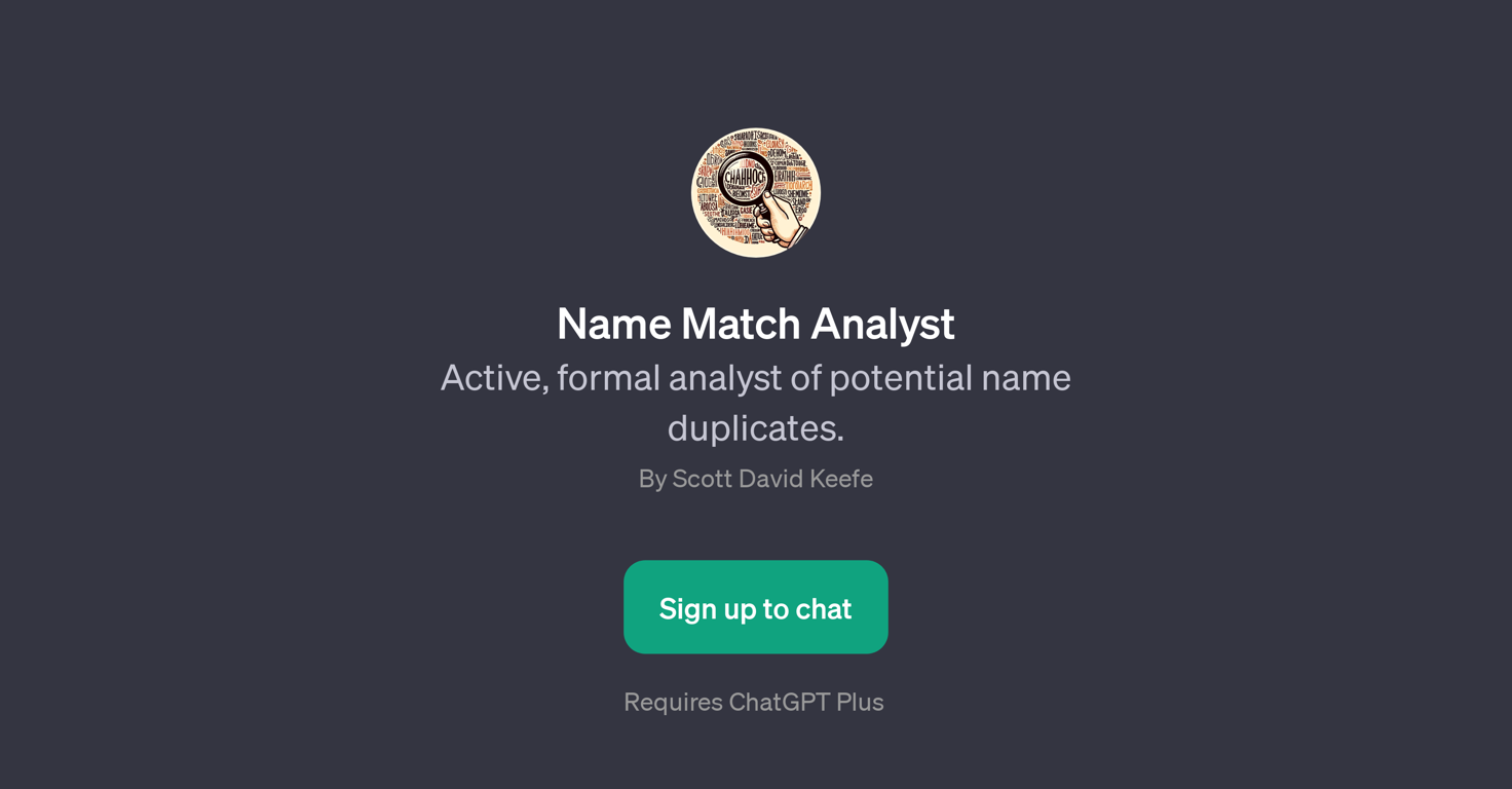 Name Match Analyst website