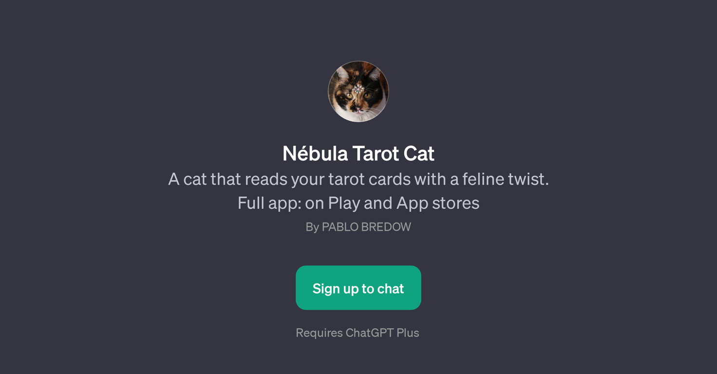 Nbula Tarot Cat website